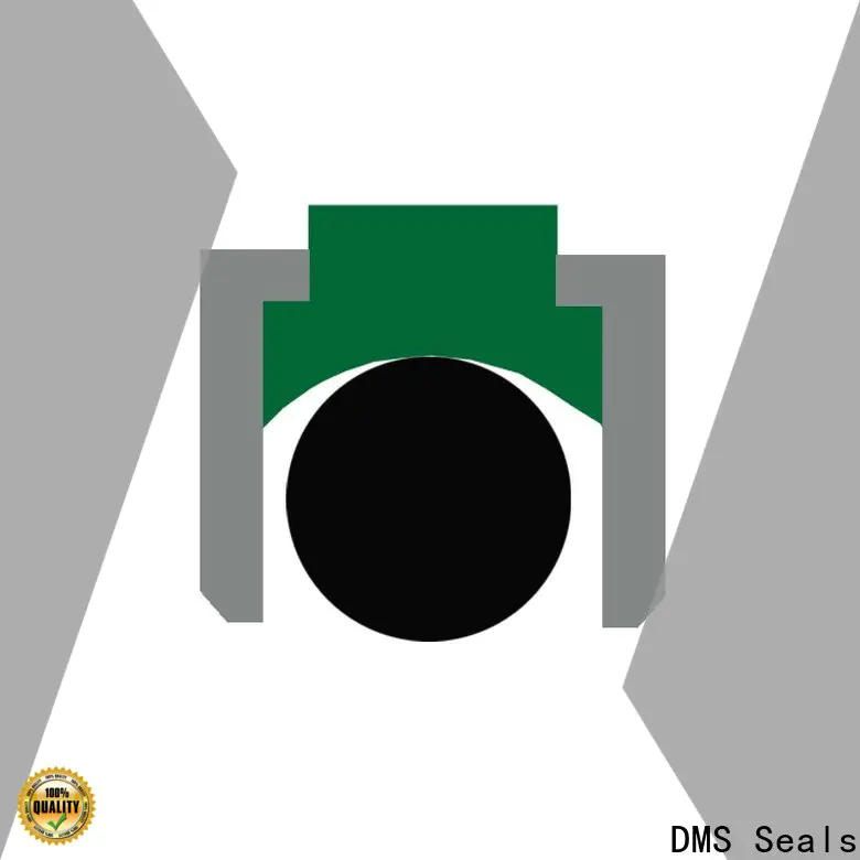 DMS Seals Wholesale hydraulic piston seal installation cost for sale