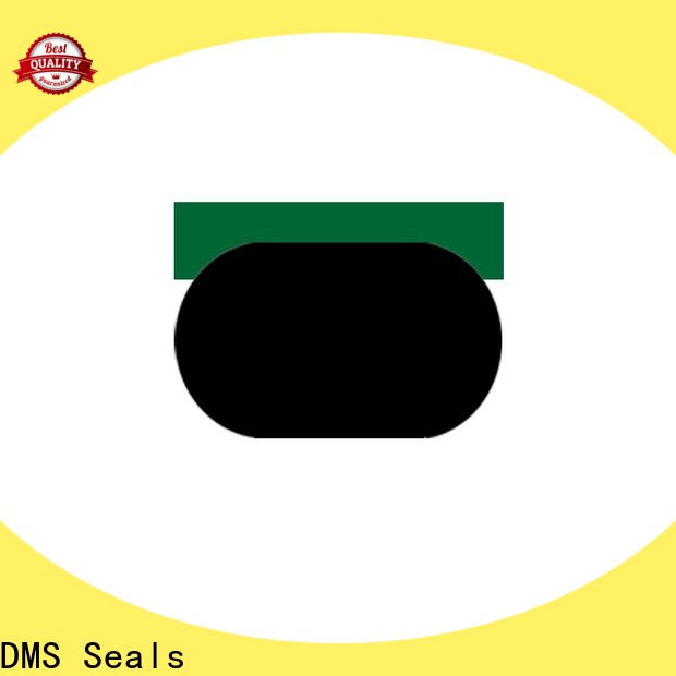 DMS Seals custom oil seals for light and medium hydraulic systems