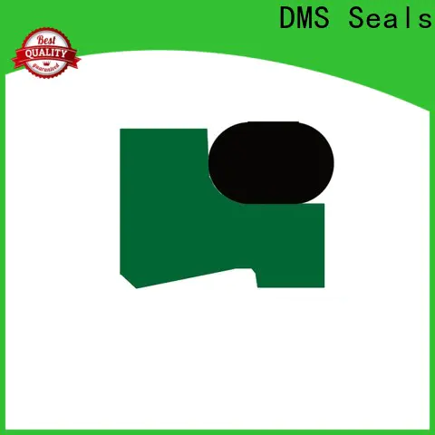 DMS Seals viton oil seal catalog company for injection molding machines