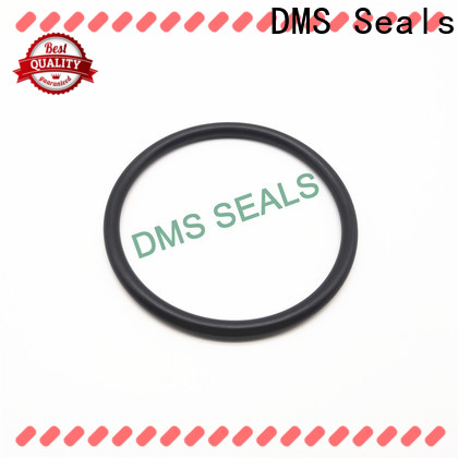 DMS Seals x and o ring for sale in highly aggressive chemical processing