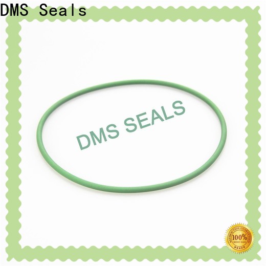 DMS Seals 0 rings online factory price in highly aggressive chemical processing
