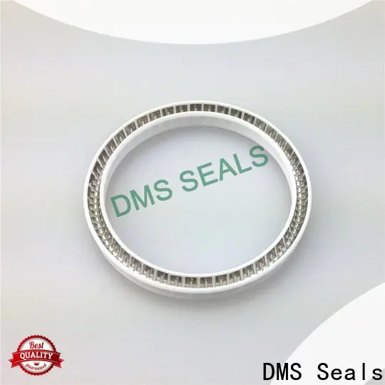 DMS Seals stationary mechanical seal supplier for reciprocating piston rod or piston single acting seal