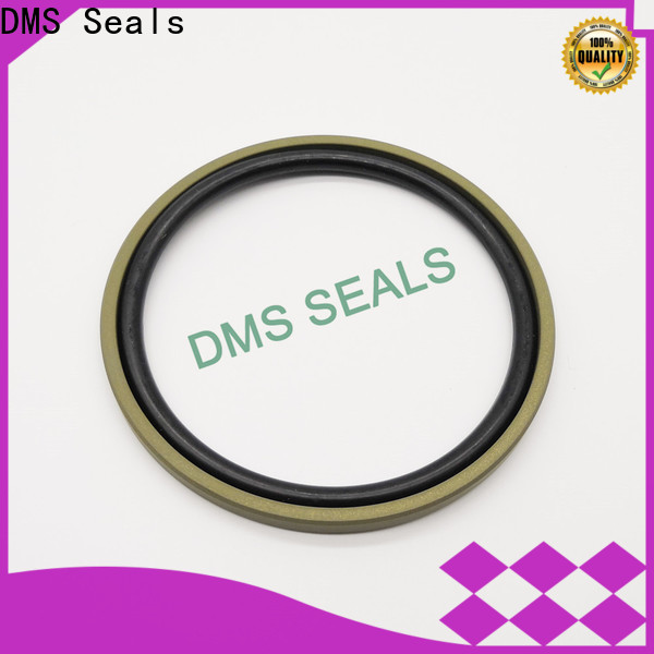 Top metric mechanical seals supplier DMS Seals