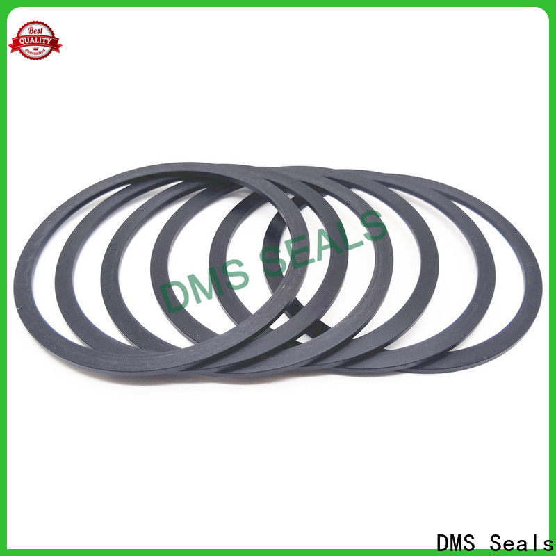 DMS Seals Quality flange gasket manufacturers price for liquefied gas