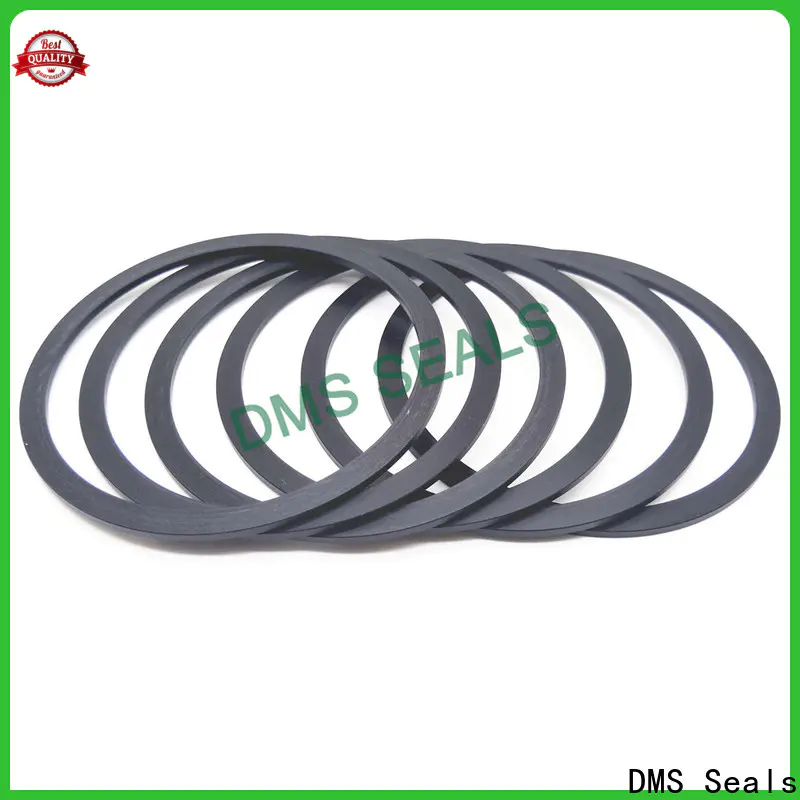 DMS Seals Quality flange gasket manufacturers price for liquefied gas