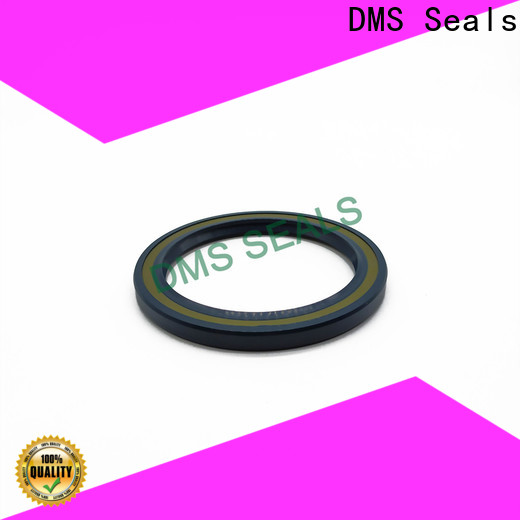 DMS Seals cheap oil seals for low and high viscosity fluids sealing