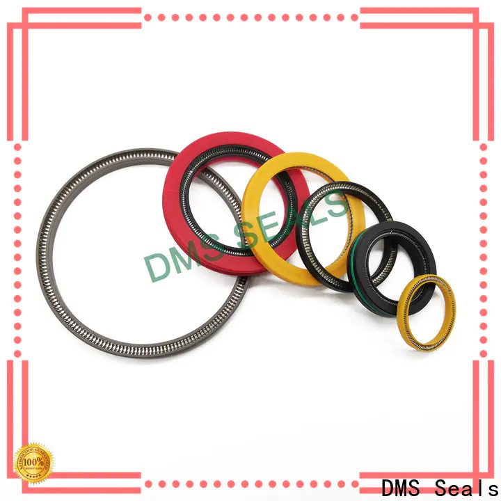 DMS Seals spring loaded oil seal supply for reciprocating piston rod or piston single acting seal