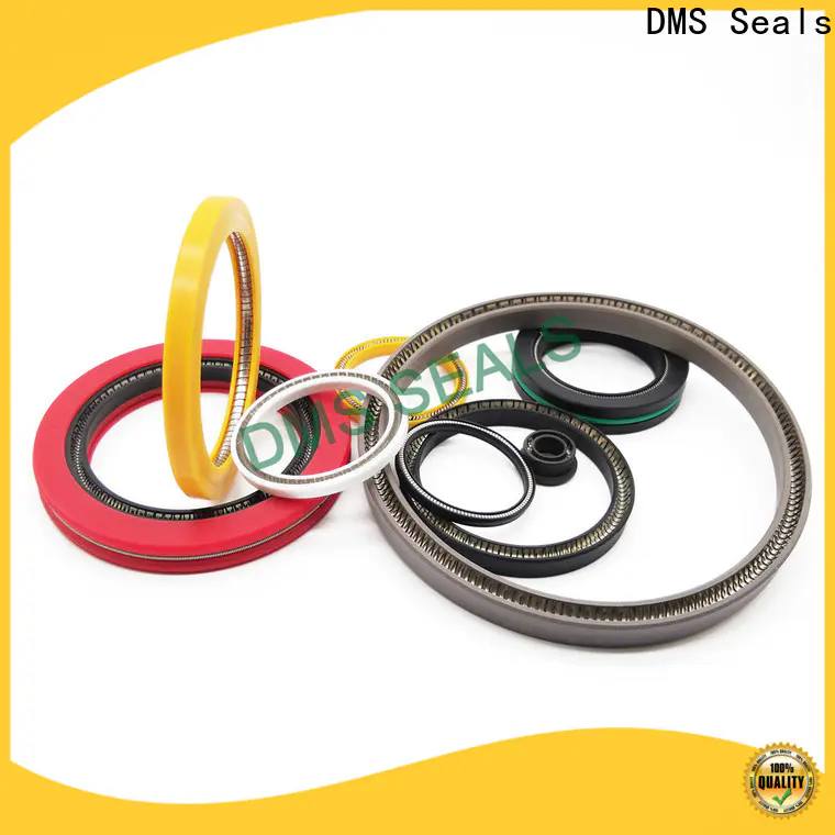 DMS Seals mechanical seal ring supplier for reciprocating piston rod or piston single acting seal