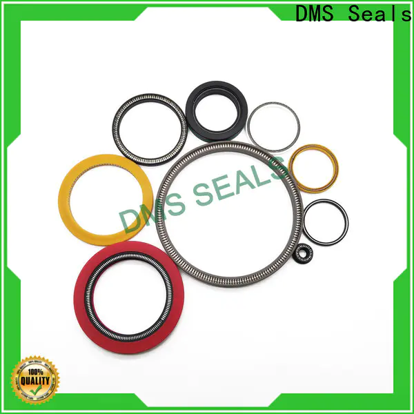 DMS Seals spring energized ptfe seal factory for choke lines