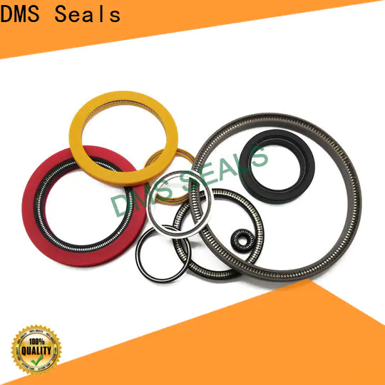 DMS Seals spring energized teflon seals price for valves