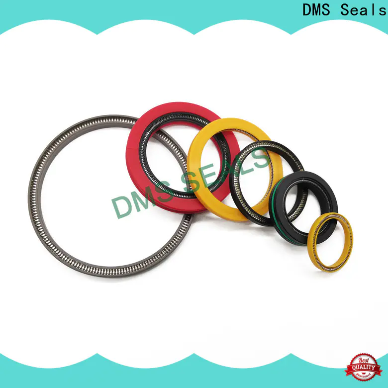 DMS Seals energized seal supply for valves
