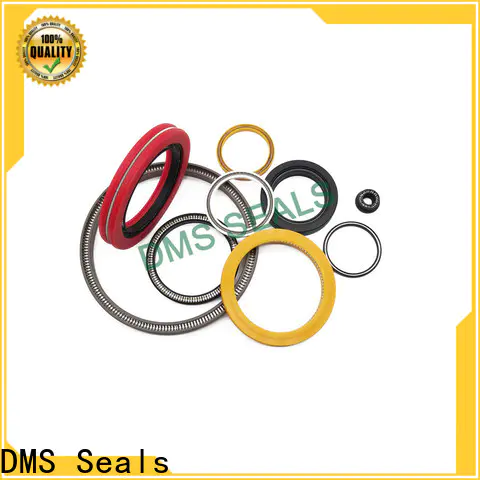 DMS Seals spring energized teflon seals cost for choke lines