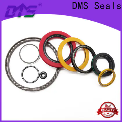 DMS Seals spring energised seal manufacturer for fracturing