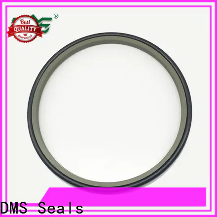 DMS Seals Quality wiper ring seal supply for metallurgical equipment