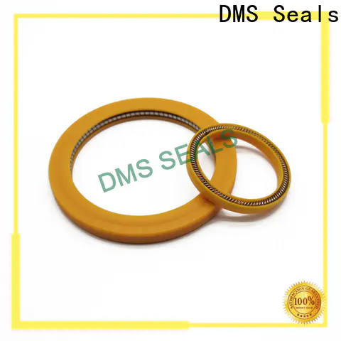 DMS Seals oil seal spring supplier for aviation