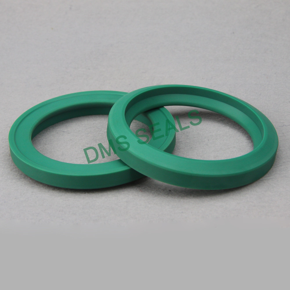 DMS Seals hydraulic oil seal for sale for larger piston clearance-2