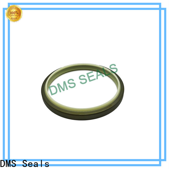 Buy lip seal vs mechanical seal manufacturer DMS Seals