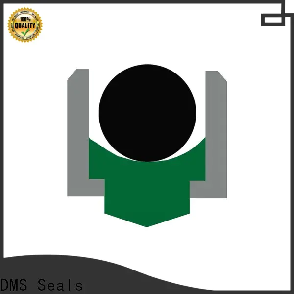 DMS Seals High-quality wholesale oil seals vendor for construction machinery