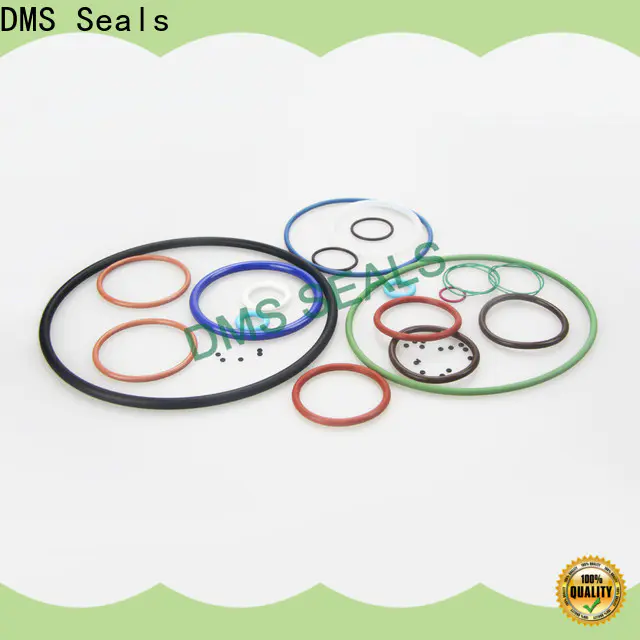 DMS Seals Best 2 inch o ring gasket factory for sale