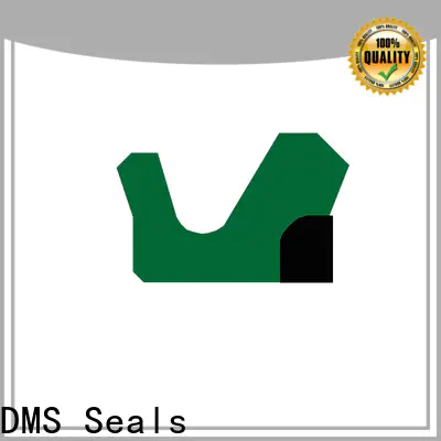 DMS Seals hydraulic seals india factory for pressure work and sliding high speed occasions