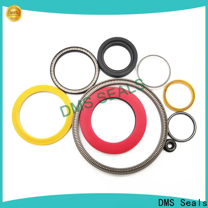 High-quality multi spring seal company for aviation
