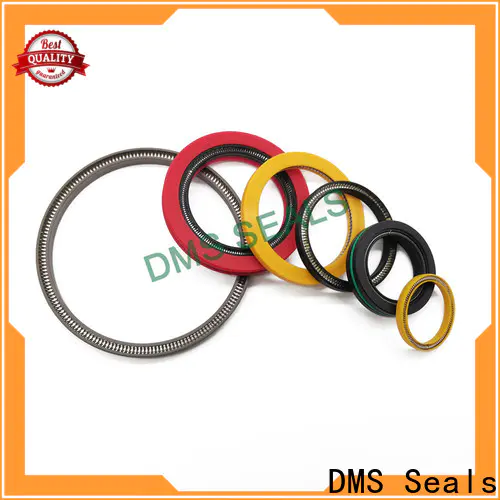 DMS Seals spring loaded oil seal price for reciprocating piston rod or piston single acting seal