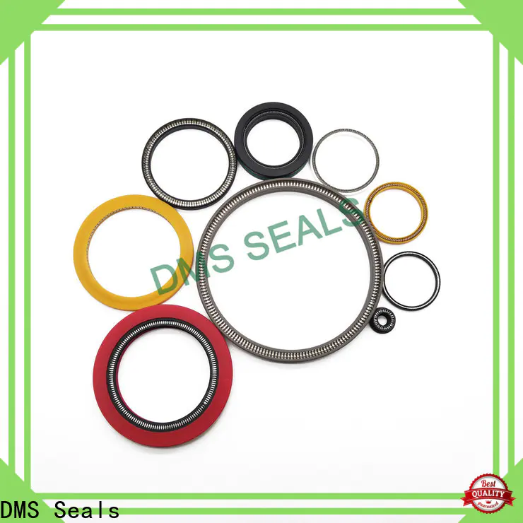 DMS Seals mechanical seal maintenance manufacturer for reciprocating piston rod or piston single acting seal