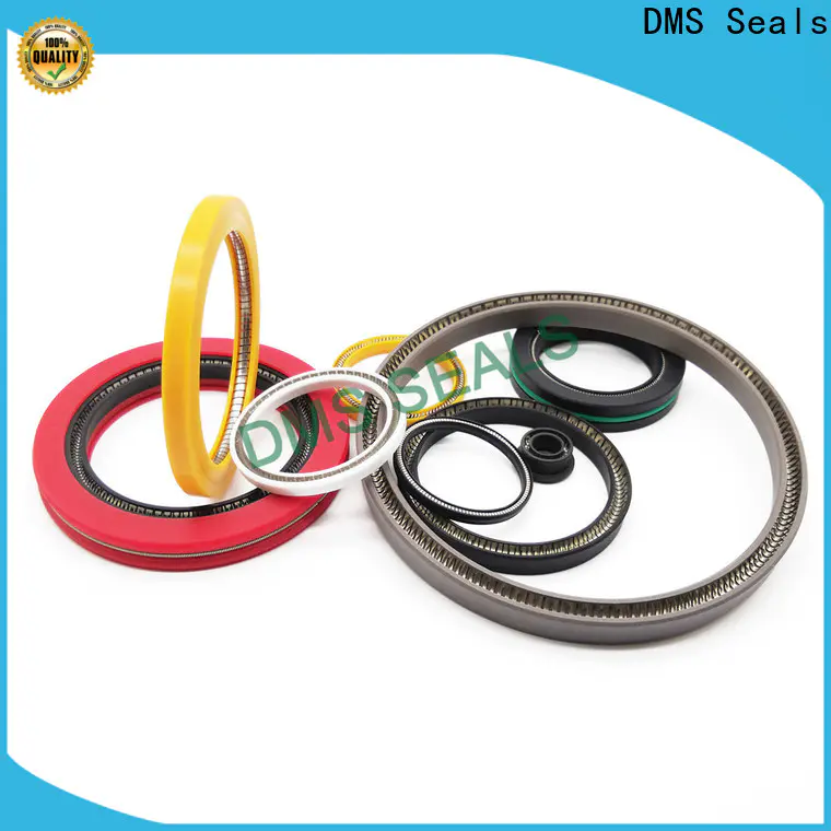 DMS Seals New spring loaded double lip seal manufacturer for aviation