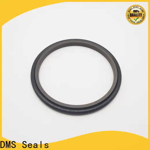 DMS Seals hydraulic rubber seal vendor for larger piston clearance