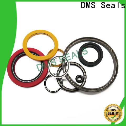DMS Seals Custom made spring energized ptfe seal vendor for acidizing