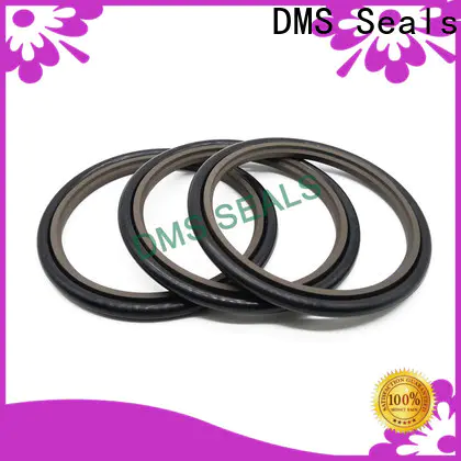 DMS Seals gearbox seals manufacturers wholesale