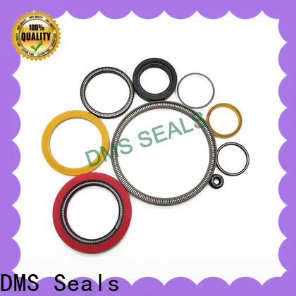 DMS Seals High-quality energized seal cost for valves