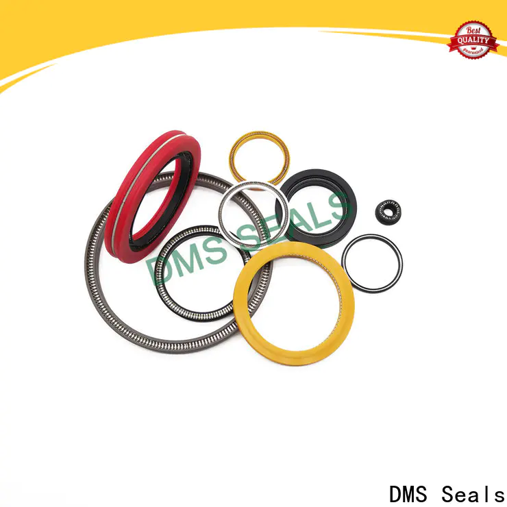 Customized spring energized ptfe seal for fracturing