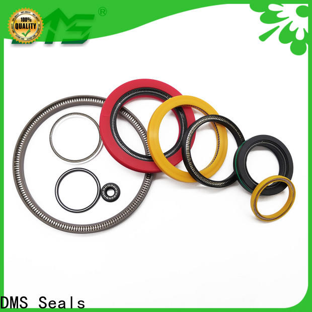 Bulk buy spring energized teflon seals factory price for cementing