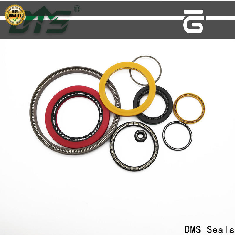 High-quality parker spring energized seals cost for choke lines