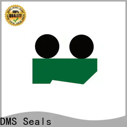 DMS Seals High-quality wiper gasket supply for injection molding machine
