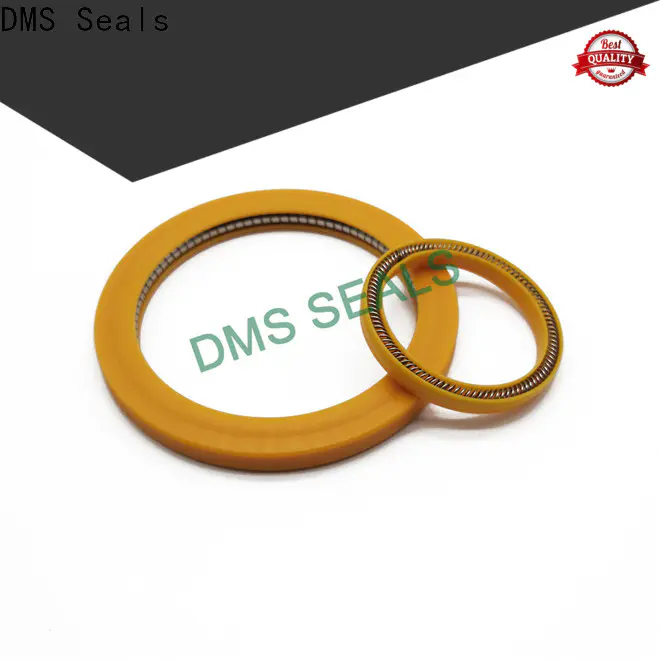DMS Seals rotary seals manufacturer for aviation