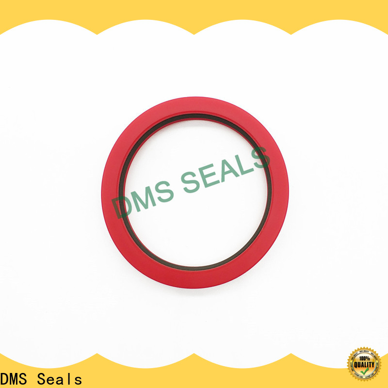 Custom cylinder packing kits vendor for sale DMS Seals