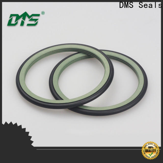 DMS Seals Top shaft seal suppliers company for construction machinery