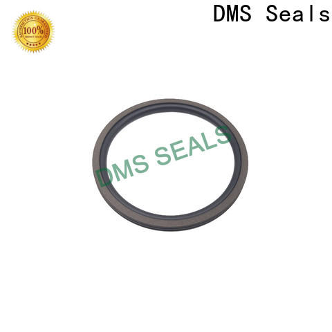 DMS Seals lip type oil seal vendor for automotive equipment