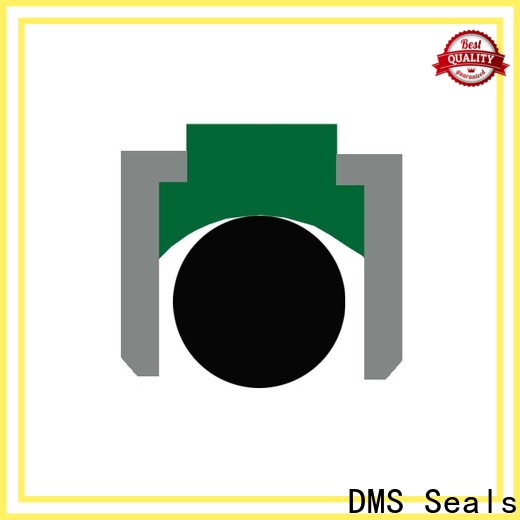 DMS Seals DMS Seals hydraulic seals distributors supplier for pneumatic equipment