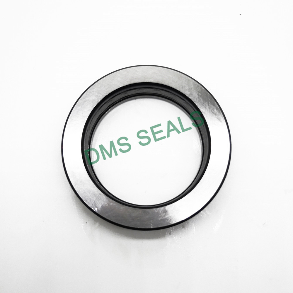 DMS Seals Professional hydraulic oil seal manufacturers factory price for piston and hydraulic cylinder-3