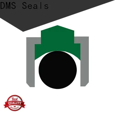 DMS Seals shaft seal suppliers cost for automotive equipment