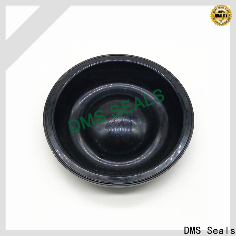 DMS Seals d seal gasket manufacturer for air bottle