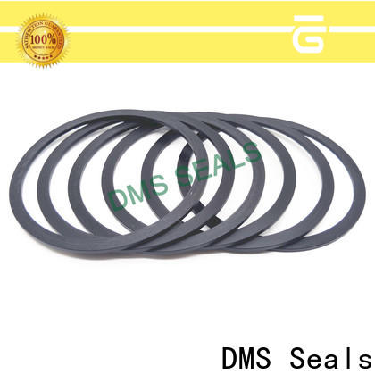 Customized difference between gasket and packing supply for liquefied gas