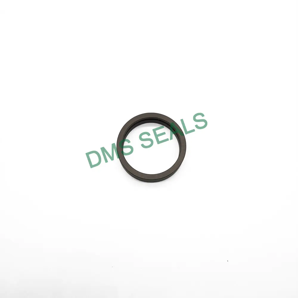 PTFE/PA/POM Hole Guide Sleeve Seal Dfa for Piston Rod Seal