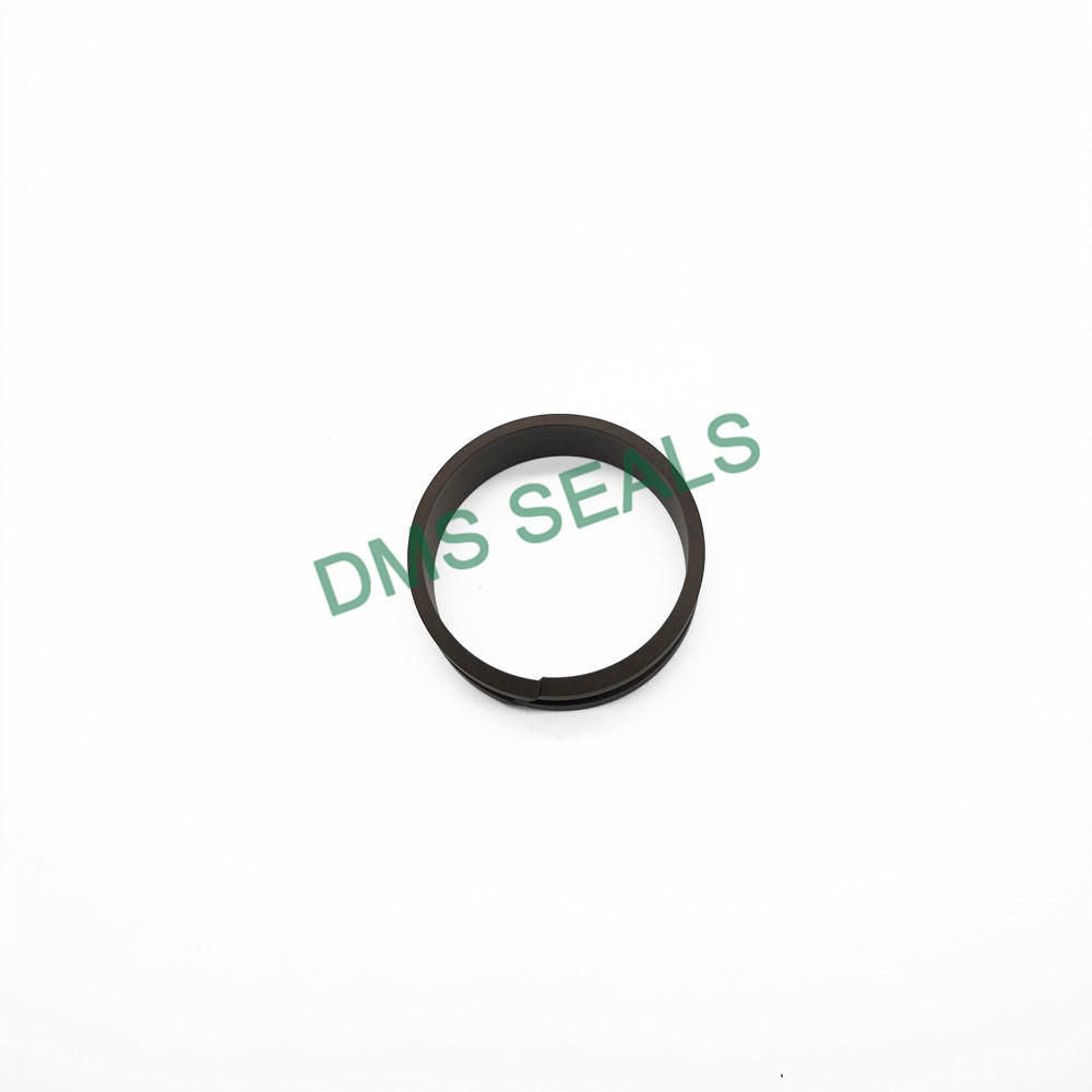 Dfai PTFE Seal Ring Guide Ring with Scraping Lip for Shaft