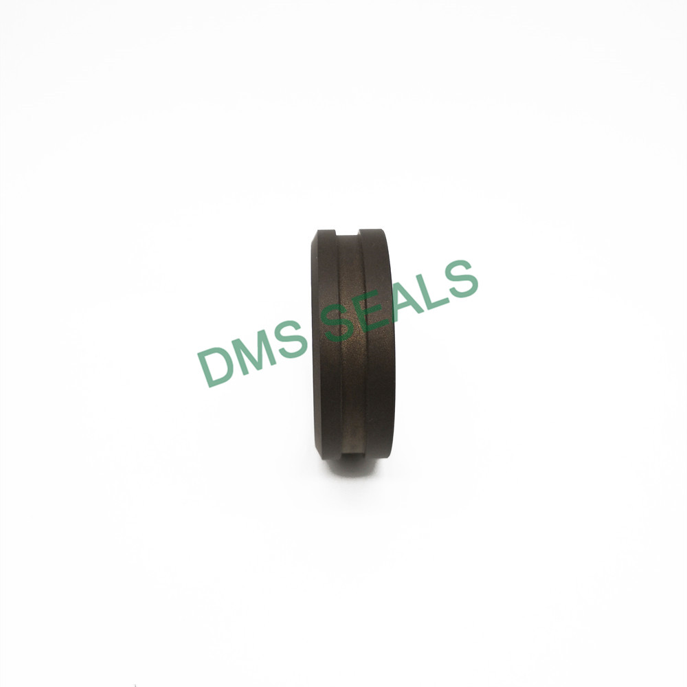 DMS Seals High-quality bearing for roller cost as the guide sleeve-3