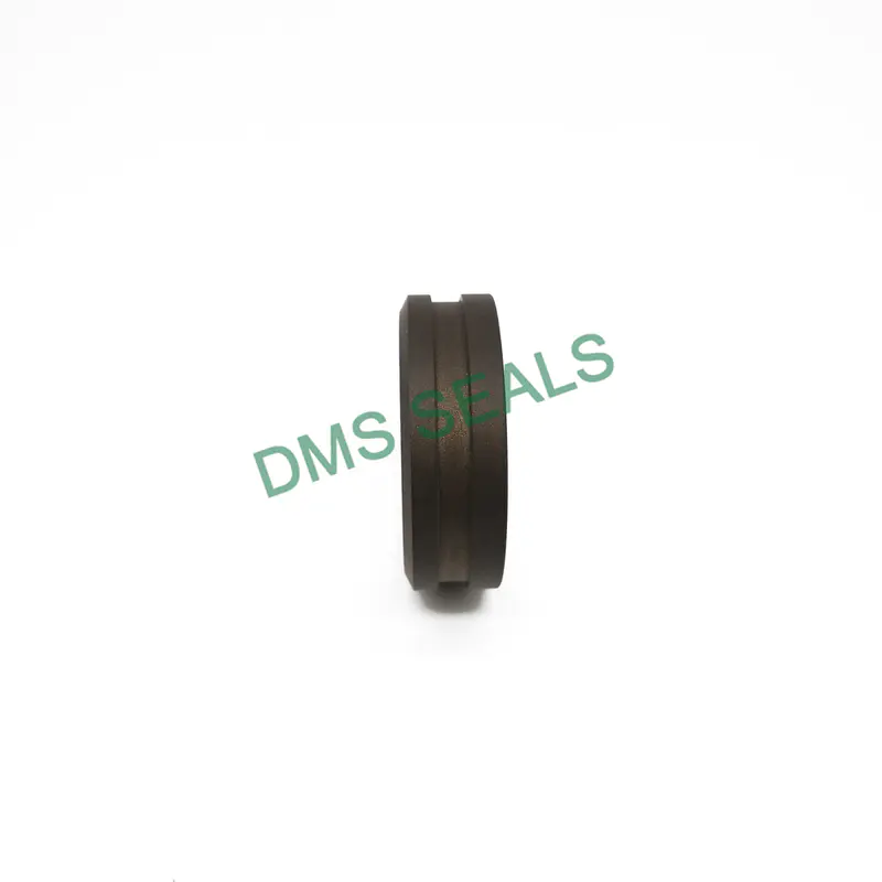 China Professional Shaft Guide Ring Dfai Seal PTFE Guide Sleeve Factory