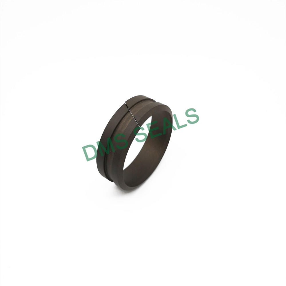 Dfai PTFE Seal Ring Guide Ring with Scraping Lip for Shaft